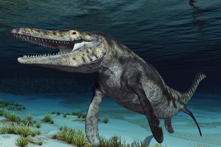 Mengintip Habitat Buaya di Jepang: Sungai, Danau, dan Konservasi